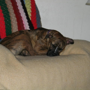 mom's chair