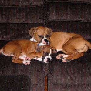 cuddle