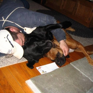 cuddle bugs