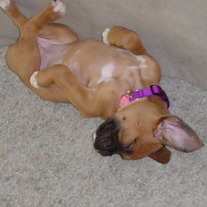 Ali sleeping