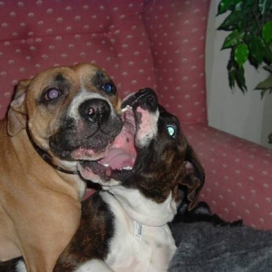 Bruce and Shotze