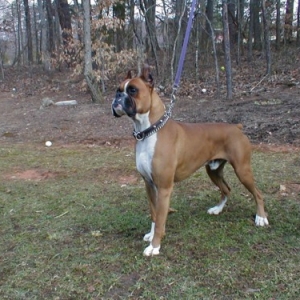 Rudy