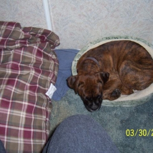 But I like my old bed