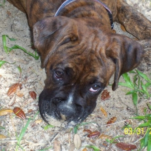 Who me?  Digging?  No Way