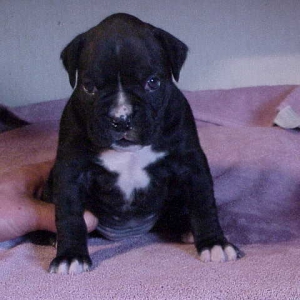 my little girl