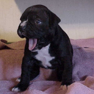 another pic of my little girl