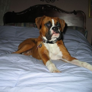 ROXY6