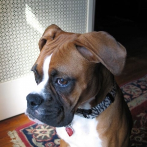 ROXY7