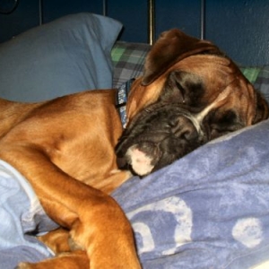 sleepy star April 2005