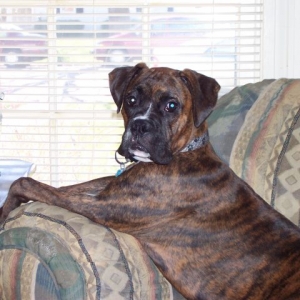 Just_chillin