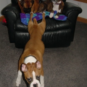 Nothing like a good stretch!