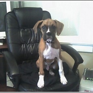 It used to be my chair. . .