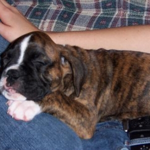 Ella Asleep