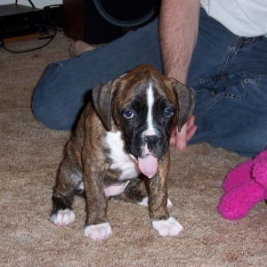 Big Yawn