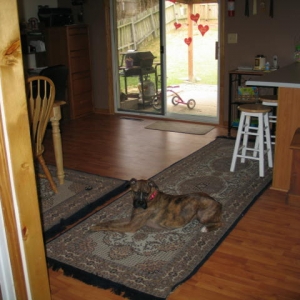 Bridget Lounges