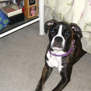 Bailey