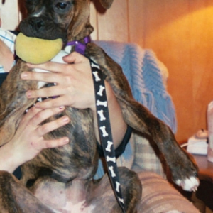 bella-with-toy