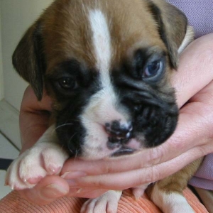 New Baby! 3 weeks old