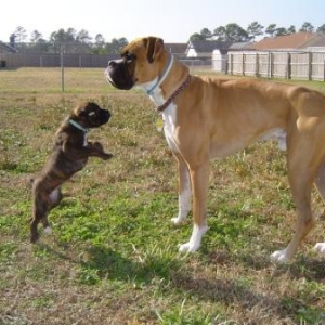 jump,mimi, jump!