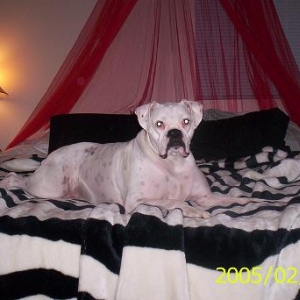 Pretty pretty princess