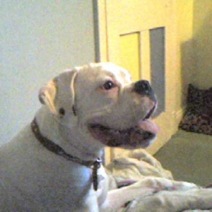 Smiling!