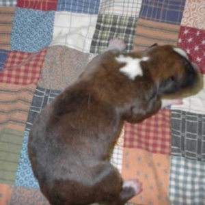 Our newborn