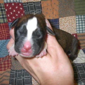 Our newborn's sweet face