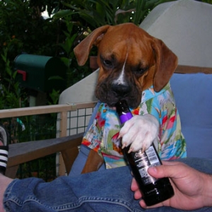wait a minute, he's not 21 yet!