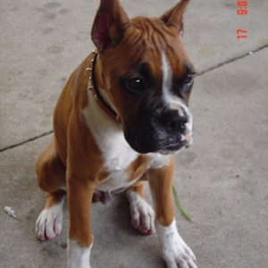 rocky_025