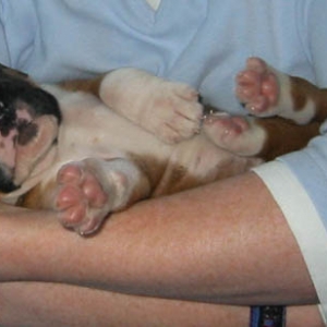 First Cuddles!
