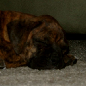 So tired...