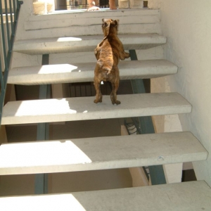Stairs?  No problem...