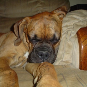 Lazy baby boy