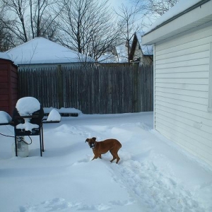 I LOVE the snow