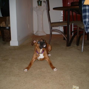I'm gonna get you