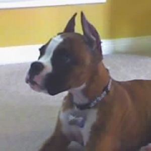 Sitting pretty