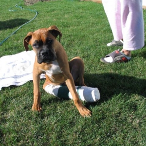 Lennox