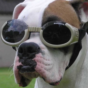 I'm To Cool