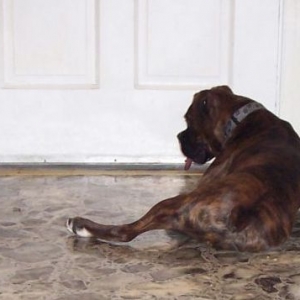 The ball that was finally safe