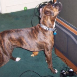 I think I can get that