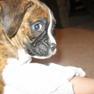 Zoe @ 8 weeks