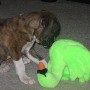 Zoe's First Day Home