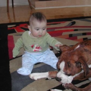 Romans and Boxers - Lend me your ears