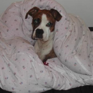 And you thougt this was YOUR BED?