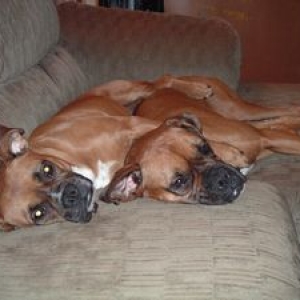 My Babies
