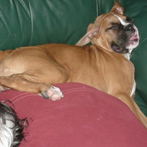 Can you believe this is comfortable?