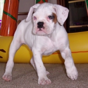Tuff guy.