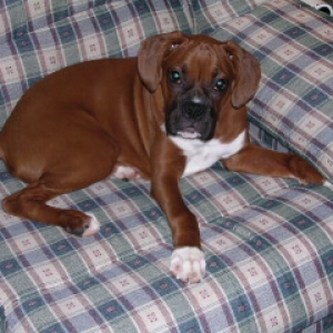 Lounging around