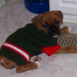 Trying to stay warm on the vent!