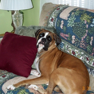 Snoop on the couch